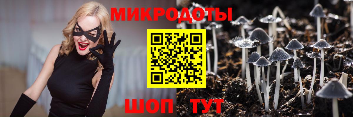 Псилоцибиновые грибы Psilocybe  Вход с VPN  Псилоцибиновые грибы мицелий  Советский 
