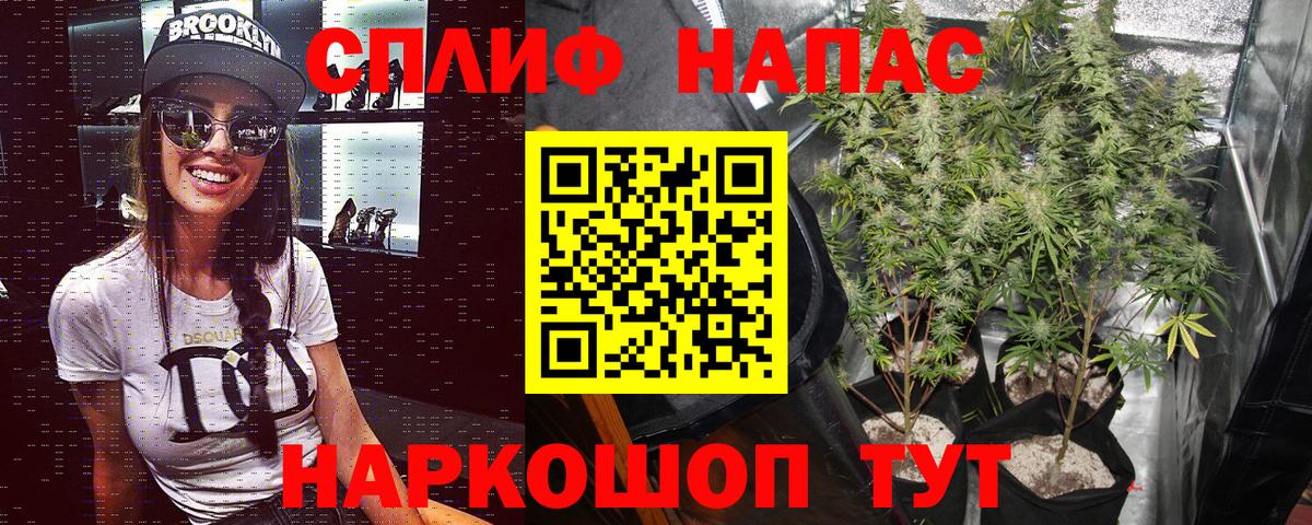 Бошки марихуана Bruce Banner  Каннабис ГИДРОПОН  Советский  Вход с VPN  Конопля марихуана 